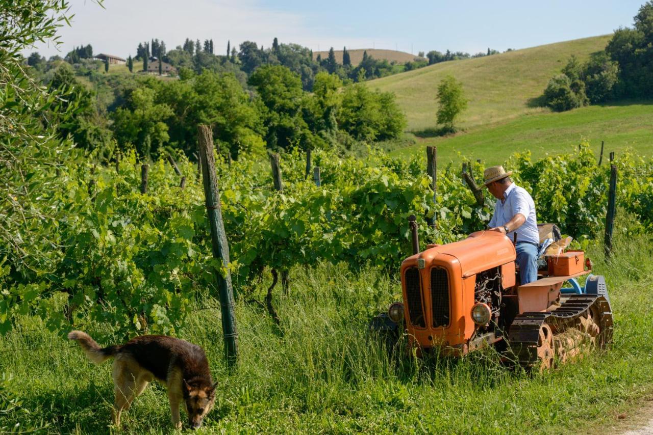 Villa Agriturismo Pretenzano Volterra Exterior foto