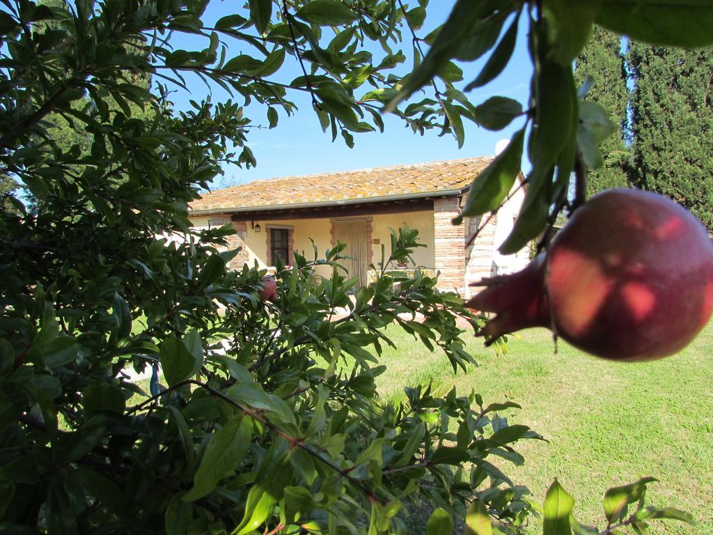 Villa Agriturismo Pretenzano Volterra Exterior foto